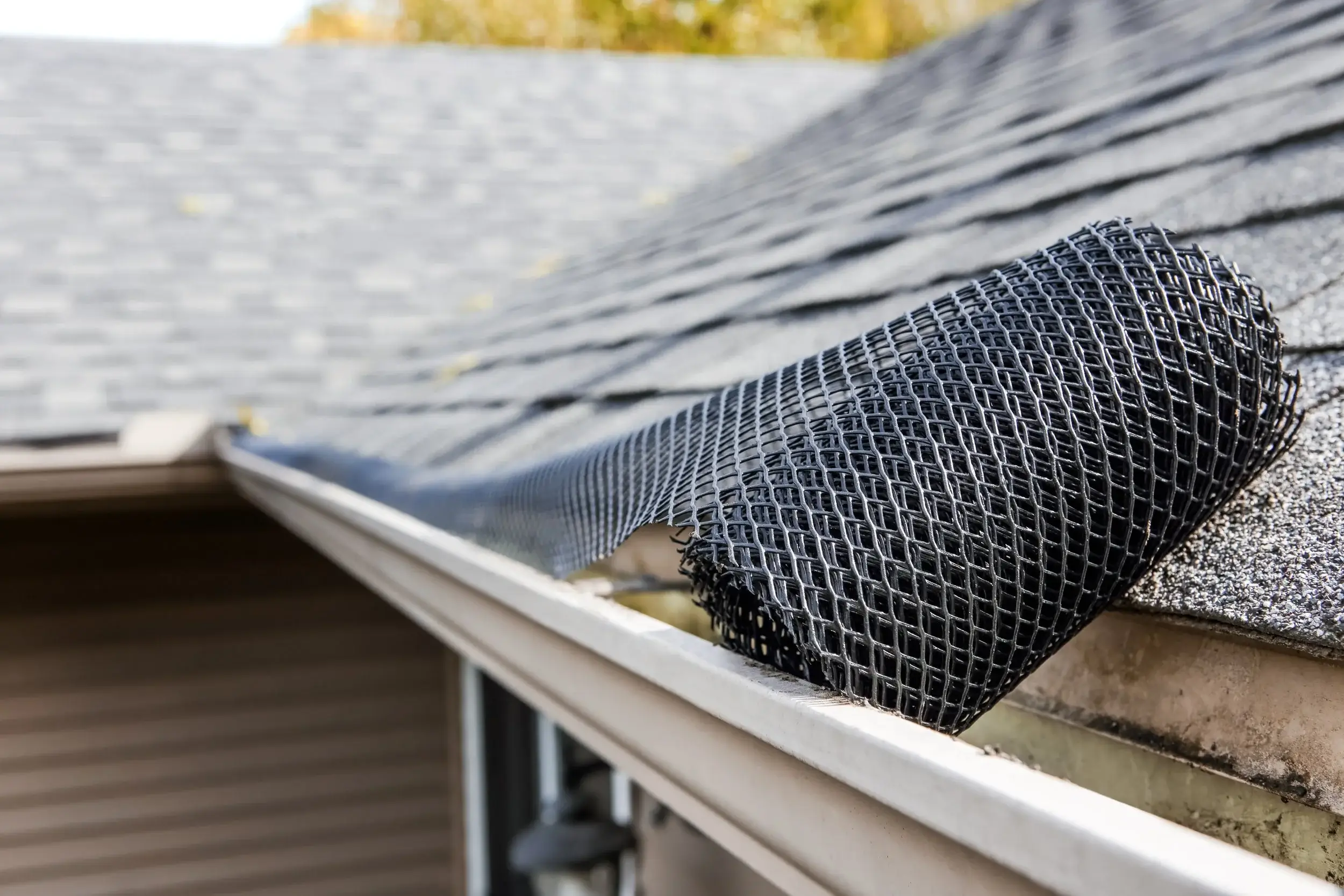 Do Gutter Guards Work with Oregon Pine Needles? The Honest Truth! 10 mesh gutter guards