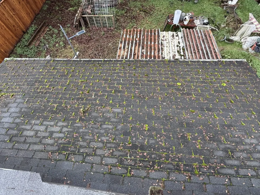 why moss destroys oregon gutters