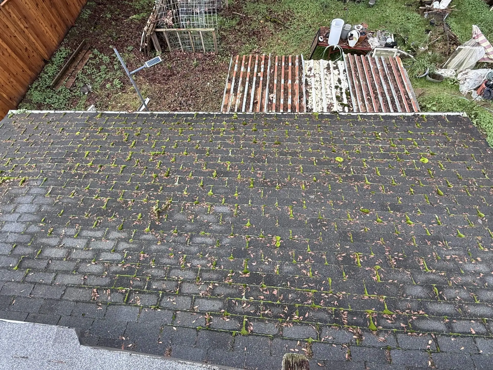 why moss destroys oregon gutters