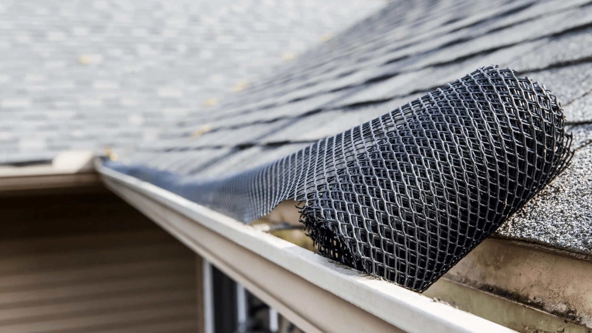 Close-up of a black mesh gutter guard resting over a white rain gutter along the edge of a gray asphalt-shingle roof.
