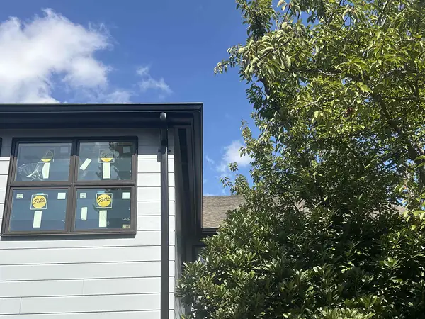 Dark seamless gutter corner and downspout on a gray Wilsonville building beside a leafy tree