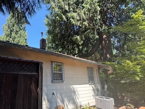 Big fir branches reaching over the roofline of a Portland home's backyard