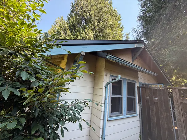 Cream Portland bungalow with a blue-gray gutter and downspout beneath tall fir trees