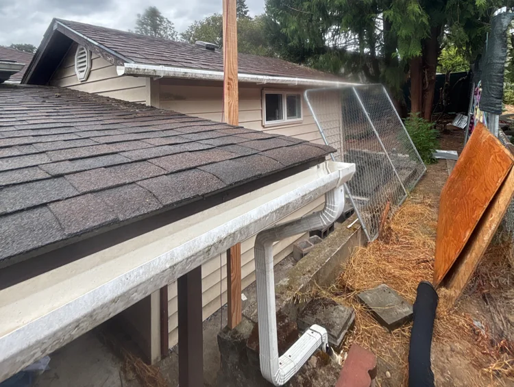 White gutter along a low roof edge with downspout elbows dropping from the outlet beside a large evergreen tree