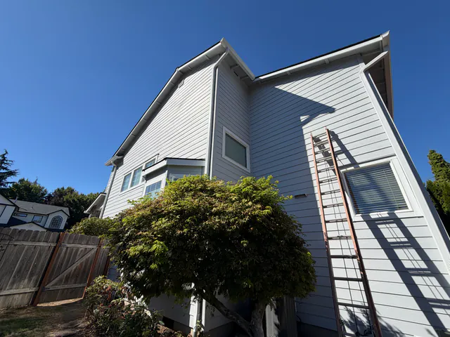 Extension ladder against the side of a two-story house with white gutters and downspouts on several roof levels