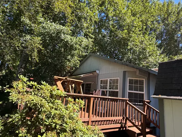 Small Portland home and deck nearly surrounded by dense trees whose leaves and needles land in the gutters