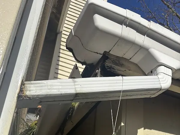 Rotted fascia board exposed behind a white gutter and downspout elbow that has pulled away from the house