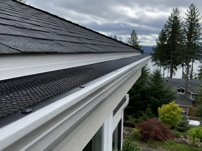 Black stainless micro-mesh gutter guard fastened along a white seamless gutter, with tall evergreens beyond