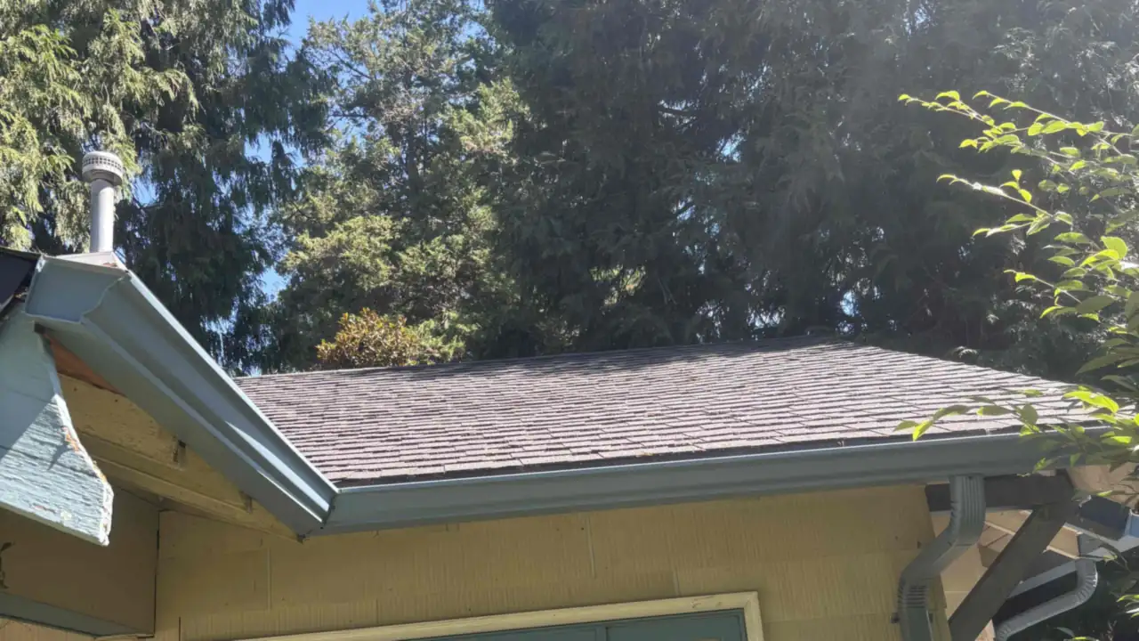 Tall evergreens hanging over the roof and teal gutter of a cream Oregon home, where needles fall straight into the gutter