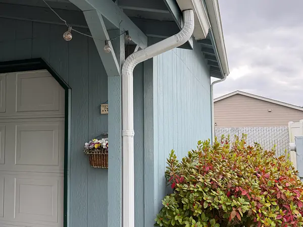 White downspout running down the corner of a blue-sided home beside a red-leaf shrub in Longview, WA