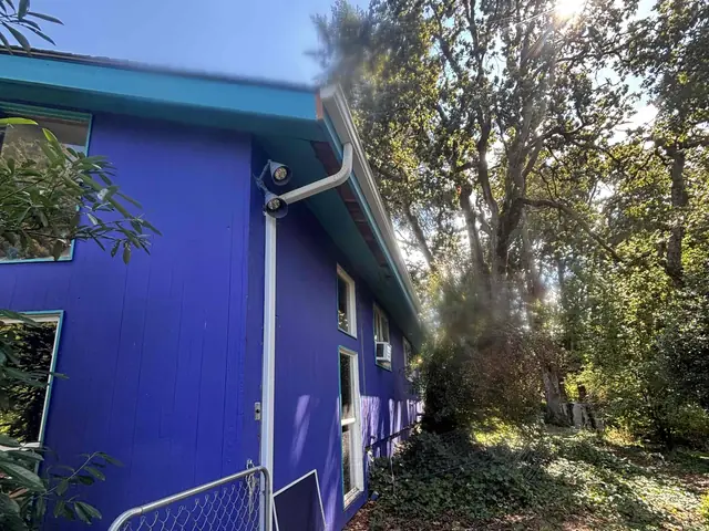 White gutter corner and downspout on a bright blue home with teal trim in Salem, with oak trees behind