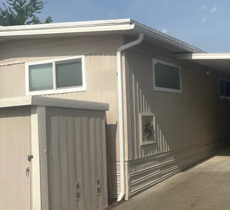 White gutter and downspout on a beige single-story home with vertical siding, next to a storage shed