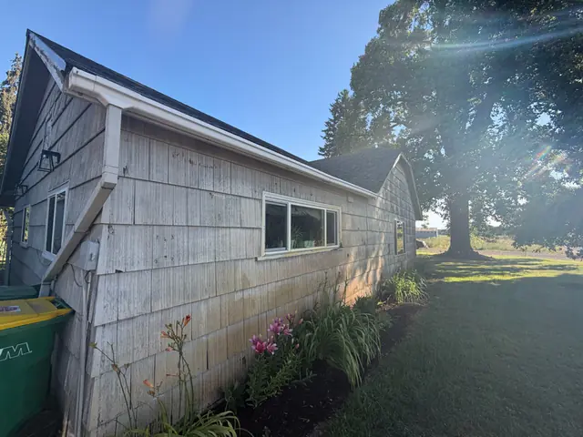 White gutter and downspout along the side of a shingle-sided home in Scappoose with a large tree in the yard