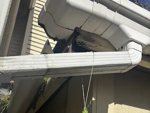 Close-up of a blackened, rotted fascia board exposed behind a white gutter and downspout elbow