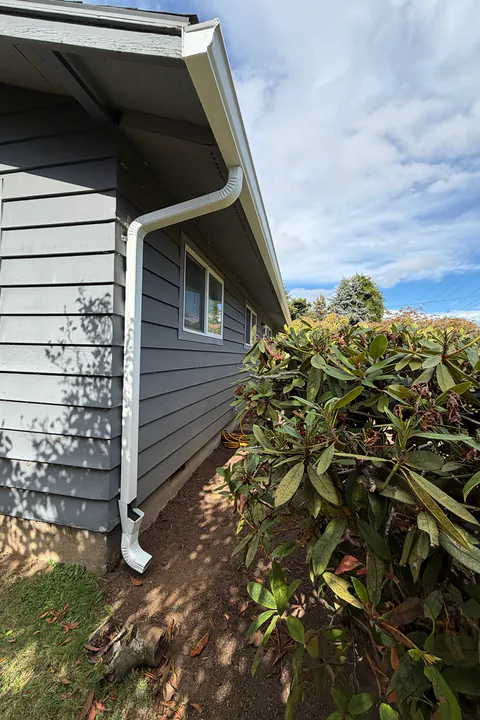 White downspout running from the gutter down blue-gray lap siding beside a rhododendron