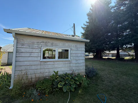 Small white outbuilding with a metal roof and a white gutter and downspout under tall evergreens